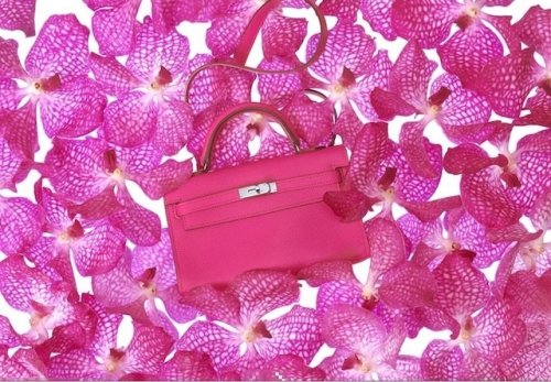 hermes tiny_kelly_bags_collection_12