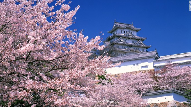 Lâu đài Himeji (Hyogo): Thường được gọi là “lâu đài diệc trắng” do nước sơn màu trắng và kết cấu trông giống như một con chim đang cất cánh, Himeji gồm có 83 tòa nhà. Lâu đài được xây dựng từ thế kỷ 17 này có hệ thống phòng thủ kiên cố và từng xuất hiện trong nhiều bộ phim nổi tiếng của Nhật cũng như của Hollywood.