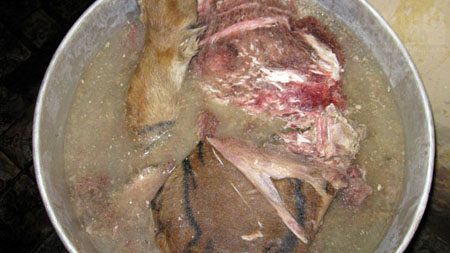 Thịt hổ được luộc trên 4 nồi to để tách lấy xương... nấu cao