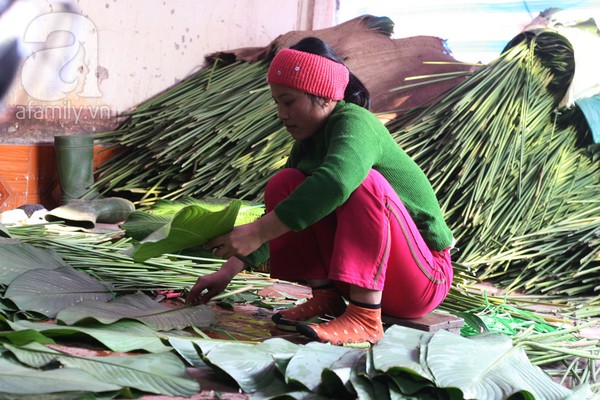 Về nơi hiếm hoi ở Hà Nội trồng lá dong gói bánh chưng kiếm cả trăm triệu dịp Tết 5
