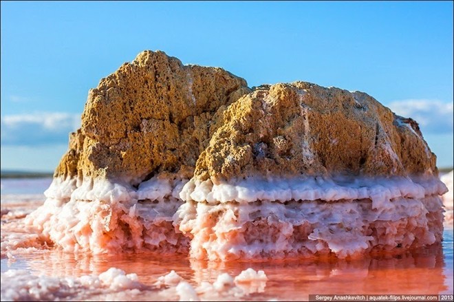 Màu hồng là kết quả của tảo phát triển mạnh trong điều kiện nước mặn và tạo ra lượng lớn beta-carotene, một chất màu đỏ để bảo vệ muối khỏi ánh sáng mặt trời với cường độ cao trong khu vực. 