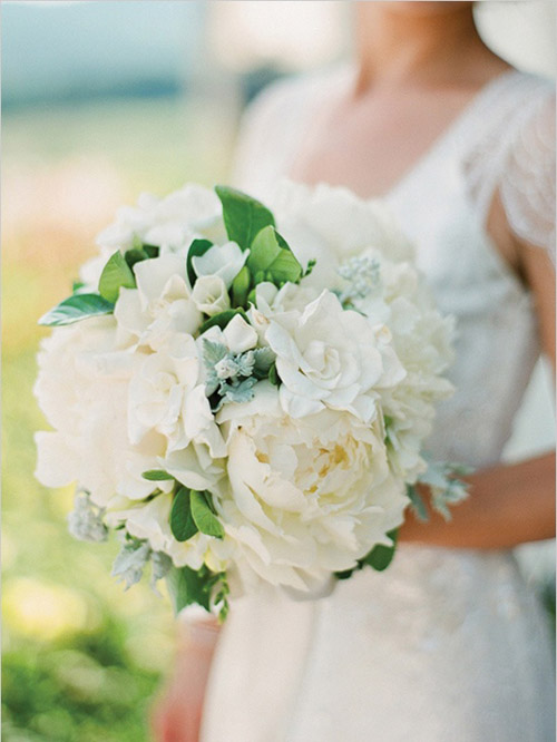 Hoa cưới Thu 2012: sắc trắng lên ngôi 