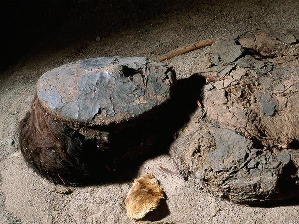  Đây là một khuôn mặt xác ướp được sơn mặt nạ, chứng tỏ cùng với khí hậu khắc nghiệt ở sam mạc Atacam, sự bùng nổ dân số của người Chinchorro từ 7.000 năm trước đã thúc đẩy kỹ thuật ướp xác