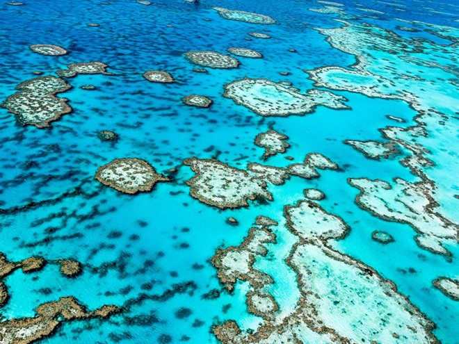2. Great Barrier Reef, Australia: Trải dài gần 3.000 km vùng biển phía đông bắc Australia, đây là nơi có mạng lưới san hô lớn nhất thế giới với hàng nghìn loài cá và sinh vật biển.