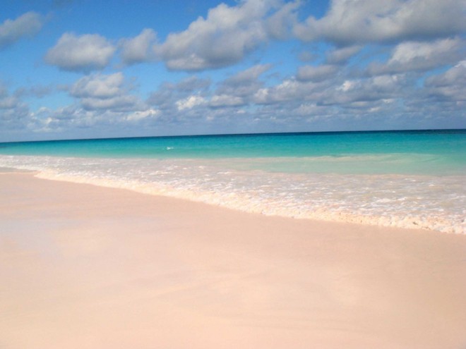 Các mảnh vụn của san hô, vỏ sò và can xi tạo thành bãi biển hồng ở đảo Harbour, Bahamas.