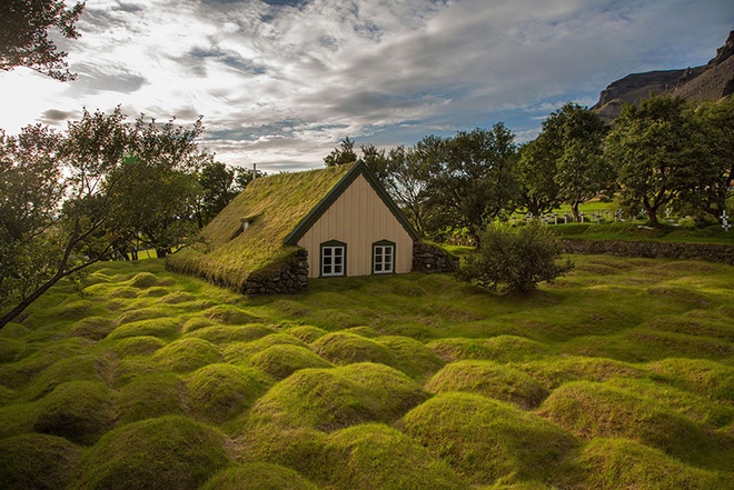 Những ngôi nhà được bao trùm bởi lớp cỏ dày