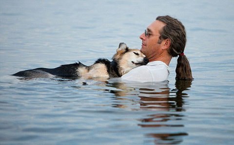 Bức ảnh đẹp về chó Schoep với người chủ sở hữu đang ôm nó trong hồ Superior khiến cộng đồng mạng cảm động. Ảnh: Hannah Stonehouse hudson