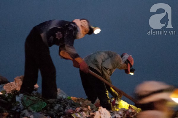 Bãi rác 4.000 tấn ở Nam Sơn: &quot;Cánh đồng bội thu&quot; của những người khốn khổ 9