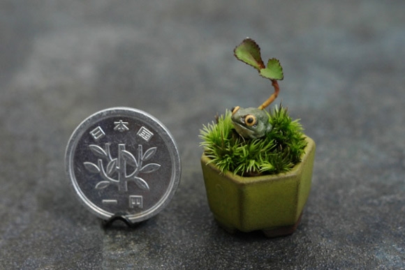 Mini bonsai: Bé tí ti, nhìn là thích