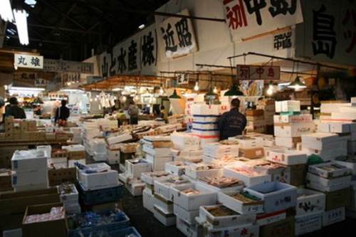 Sổ tay du lịch so tay du lich Sotaydulich  Sotay Dulich Khampha Kham Pha Bui Tour tham quan cho ca Tsukiji  va tu tay lam sushi