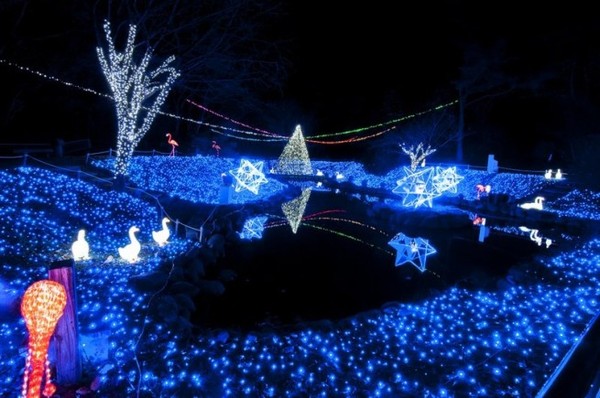 Tham quan những địa điểm trang trí về đêm đẹp nhất mùa Giáng Sinh tại Nhật 11
