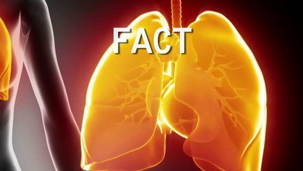 5 sự thật về bệnh viêm phổi tất cả mọi người cần biết 1