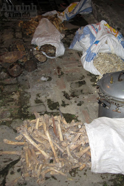 Cùng với thịt hổ, nhiều mai rùa, xương động vật khác được tìm thấy trong lò nấu cao này.