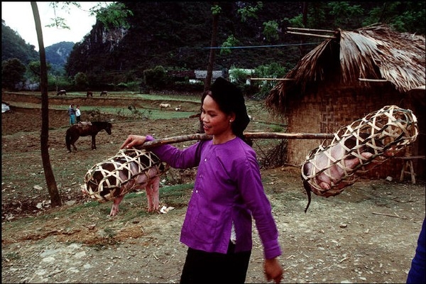 Việt Nam năm 1994 bình dị nhưng đầy bản sắc qua ống kính nhiếp ảnh gia Pháp 16