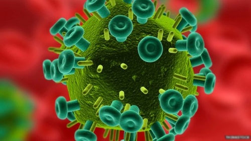 Hi vọng mới từ gel chống HIV - 1