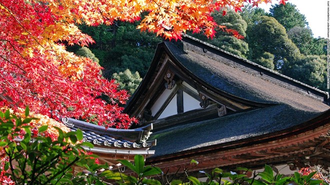 Đền Saimyoji (Shiga): Nằm trên dãy Suzuka, Saimyoji là một trong ba ngôi đền Phật giáo Tendai ở phía đông Shiga. Đền Saimyoji nổi tiếng với tán lá màu đỏ và cam bao quanh khi mùa thu đến và sắc hồng của hoa anh đào mỗi độ xuân về.