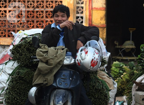 Về nơi hiếm hoi ở Hà Nội trồng lá dong gói bánh chưng kiếm cả trăm triệu dịp Tết 13