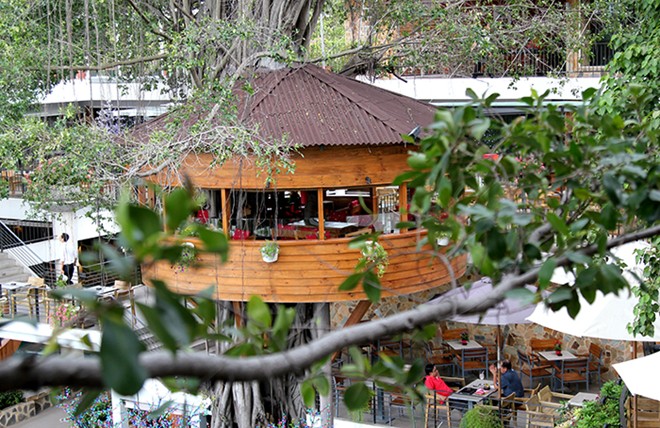 Quán cà phê trên cây độc đáo nhất Sài Gòn