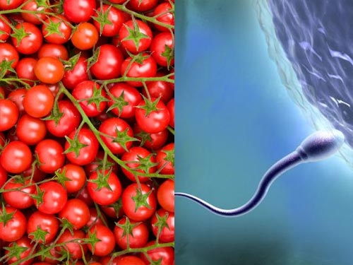 Cà chua làm tăng 70% số lượng tinh trùng - 1