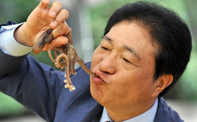 Bạch tuộc “ngọ nguậy” Sannakji (Hàn Quốc): Nakji là một loại bạch tuộc nhỏ được phục vụ ở các nhà hàng Nhật Bản và chợ cá Noryangjin ở Seoul. Các xúc tu được cắt và ăn ngay khi chúng vẫn còn giãy giụa trên đĩa. Vấn đề là các giác hút trên xúc tu vẫn có khả năng dính cực chặt trong miệng hoặc cổ họng bạn, dễ dàng gây hóc hay ngạt thở. Ở Hàn Quốc, mỗi năm có khoảng 6 người chết vì món này. Nếu đủ can đảm ăn món này, bạn nên nhai kỹ và uống thật nhiều nước, tránh đừng ăn món này lúc đang say.