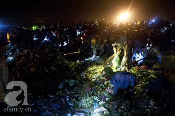 Bãi rác 4.000 tấn ở Nam Sơn: &quot;Cánh đồng bội thu&quot; của những người khốn khổ 7