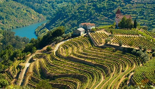 Douro-Valley-Portugal-2-1378718110.jpg