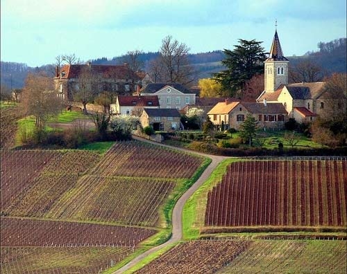 8 vùng rượu nho xinh đẹp nhất nước Pháp - 3