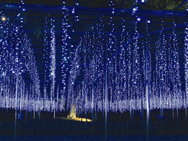 Tham quan những địa điểm trang trí về đêm đẹp nhất mùa Giáng Sinh tại Nhật 4