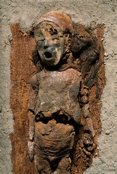 Xác ướp một cậu bé có mặt nạ được chôn trên tấm dệt làm bằng cây lau sậy, nội tạng của xác ướp đã được thay thế bằng đất và phủ lớp tro quặng mangan đen lên trên đỉnh bộ sương. Qua khám phá hóa thạch cây cối ở dãy Andes gần đó, cũng như phóng xạ các-bon, nhóm nhà khỏa cổ học cho rằng, thời điểm người Chinchorro thực hành ướp xác khi dân số tăng trong khoảng 7.000 năm trước đây và bắt đầu suy giảm vào 5.000 năm trước