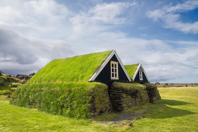 Những ngôi nhà được bao trùm bởi lớp cỏ dày