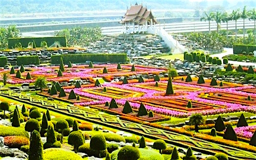 Vườn nhiệt đới Nong Nooch (Thái Lan), còn được biết đến như là công viên hoa lan với 670 loài hoa lan khác nhau. Tại đây tập hợp 20.000 loài cây nhiệt đới.