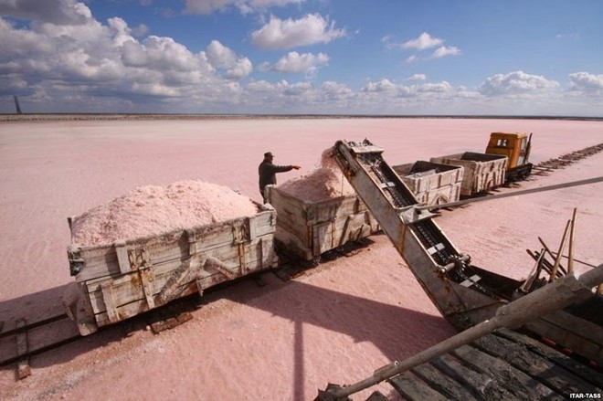 Vào mùa hè khi mực nước rút xuống có rất nhiều ruộng muối hồng trắng được phơi bày ra, kéo dài tới hàng chục km2. 
