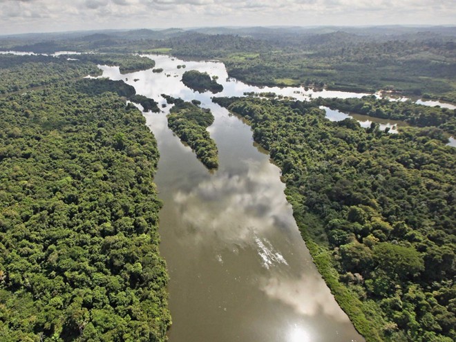 Rừng nhiệt đới Amazon, Nam Mỹ: Đây là khu rừng nhiệt đới lớn nhất trên thế giới, với diện tích lên tới 7 triệu km2. Đây cũng là khu vực có hệ sinh thái đa dạng nhất thế giới, và các nhà khoa học đang lo ngại nền nông nghiệp mở rộng tại nơi đây sẽ hủy hoại khu rừng.