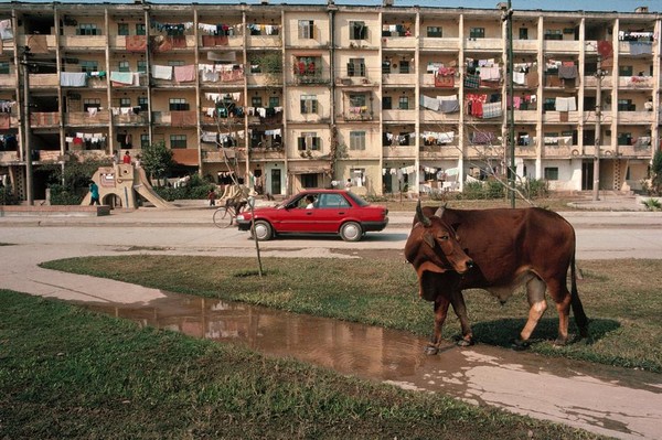 Bộ ảnh sống động về Hà Nội năm 1989 của nhiếp ảnh gia người Mỹ 9