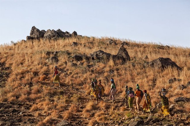 Những cô gái trẻ và bé gái trở về làng sau một ngày làm việc ở mỏ vàng Djuga.