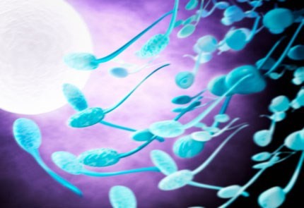 9 điều cần biết về dị ứng tinh trùng