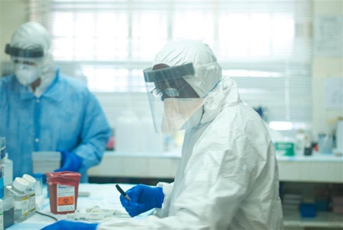 Đã tìm ra nguồn gốc lây nhiễm dịch Ebola - 2