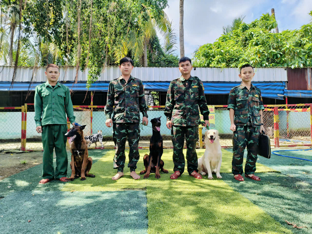 Lớp học đặc biệt dành cho “người bạn 4 chân”