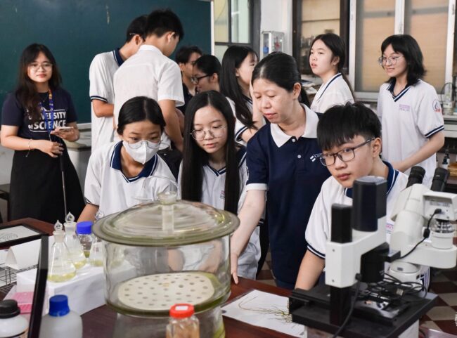 598956854 1266171985538117 8214173092637318940 n