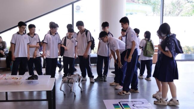 612433066 1288234346664252 2276812451487894503 n